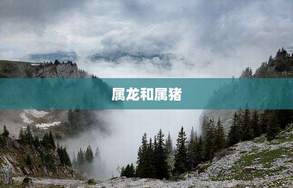 属龙和属猪