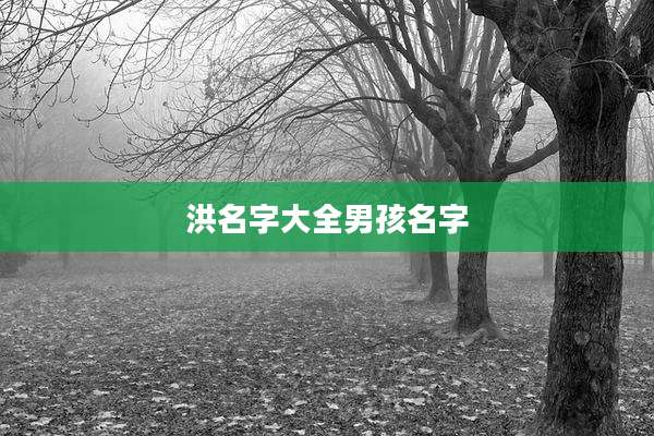 洪名字大全男孩名字