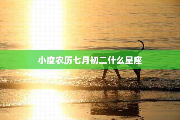 小度农历七月初二什么星座