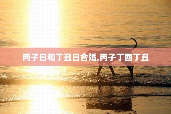 丙子日和丁丑日合婚,丙子丁酉丁丑