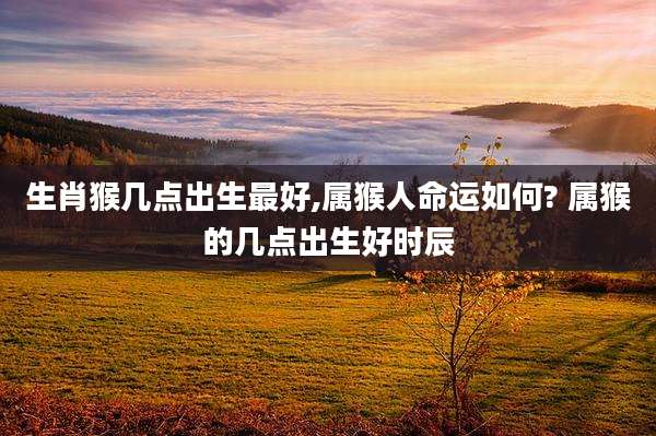 生肖猴几点出生最好,属猴人命运如何? 属猴的几点出生好时辰
