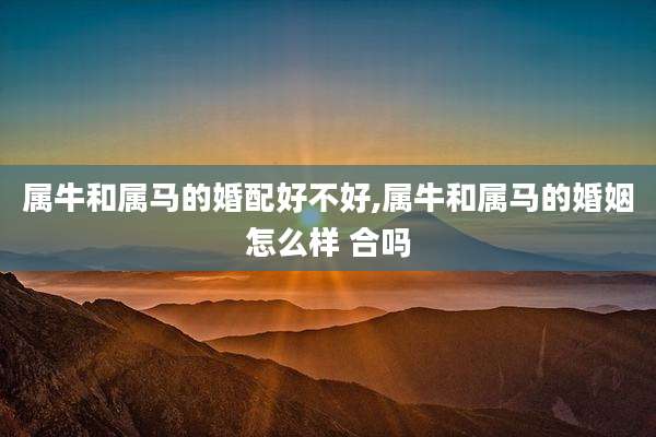 属牛和属马的婚配好不好,属牛和属马的婚姻怎么样 合吗