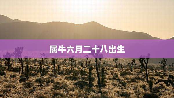 属牛六月二十八出生