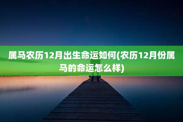属马农历12月出生命运如何(农历12月份属马的命运怎么样)