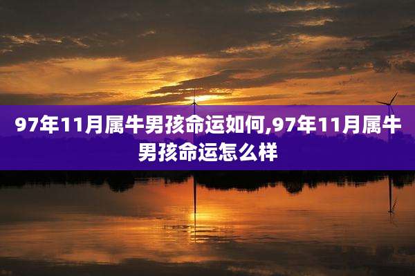 97年11月属牛男孩命运如何,97年11月属牛男孩命运怎么样