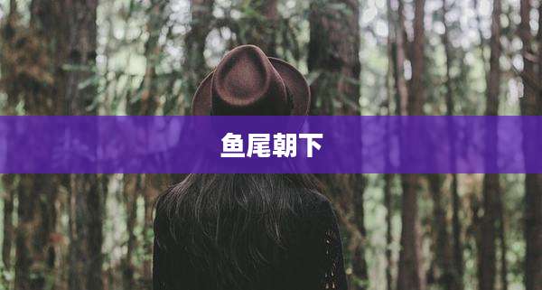 鱼尾朝下