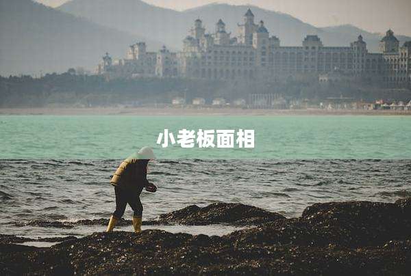 小老板面相