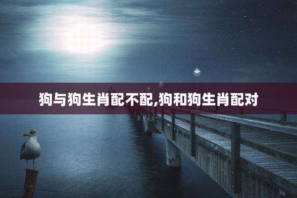 狗与狗生肖配不配,狗和狗生肖配对