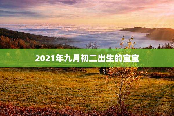 2021年九月初二出生的宝宝