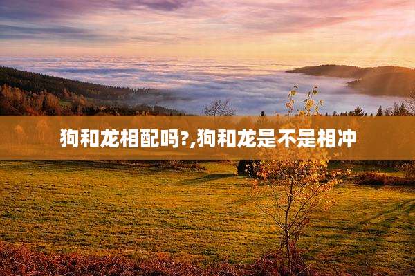 狗和龙相配吗?,狗和龙是不是相冲