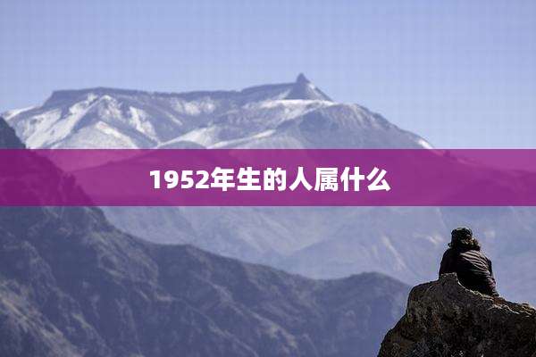 1952年生的人属什么