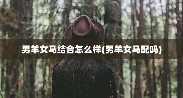 男羊女马结合怎么样(男羊女马配吗)