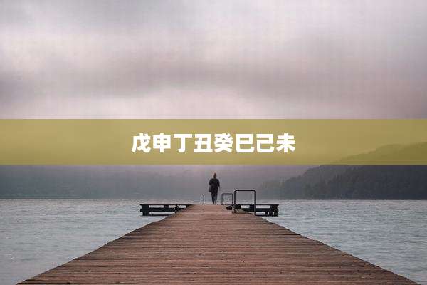 戊申丁丑癸巳己未