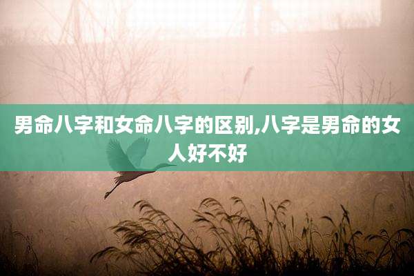 男命八字和女命八字的区别,八字是男命的女人好不好