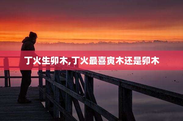 丁火生卯木,丁火最喜寅木还是卯木
