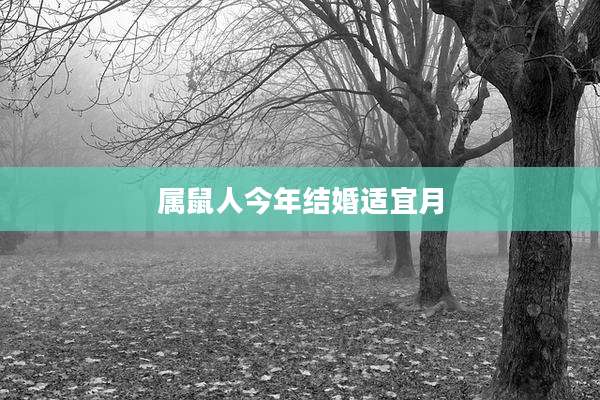 属鼠人今年结婚适宜月