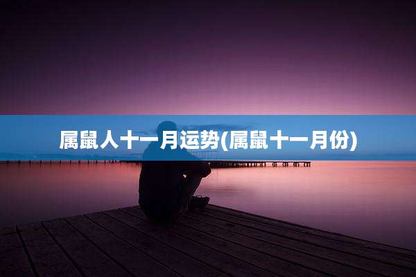 属鼠人十一月运势(属鼠十一月份)