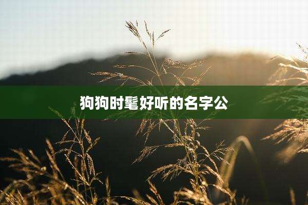 狗狗时髦好听的名字公