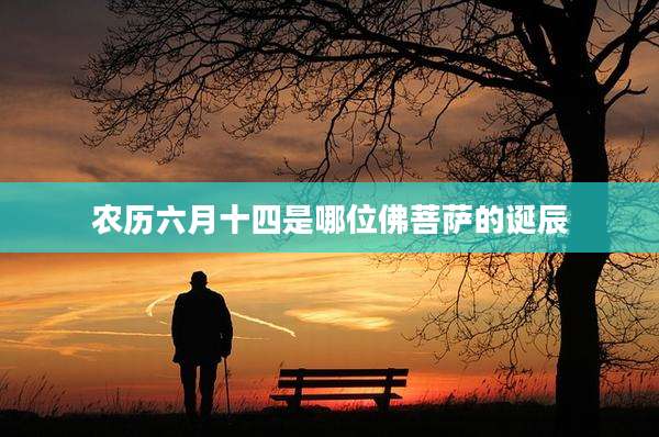 农历六月十四是哪位佛菩萨的诞辰