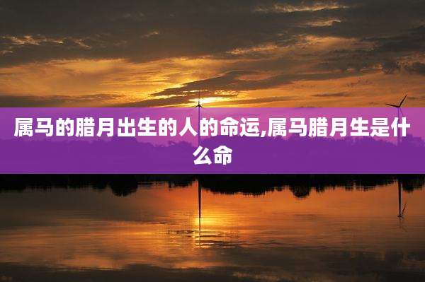 属马的腊月出生的人的命运,属马腊月生是什么命