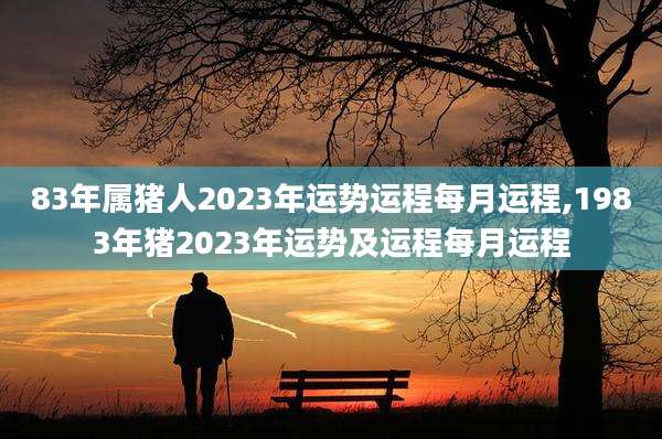 83年属猪人2023年运势运程每月运程,1983年猪2023年运势及运程每月运程
