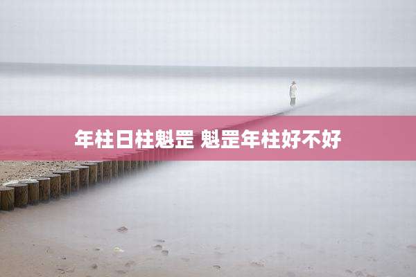 年柱日柱魁罡 魁罡年柱好不好
