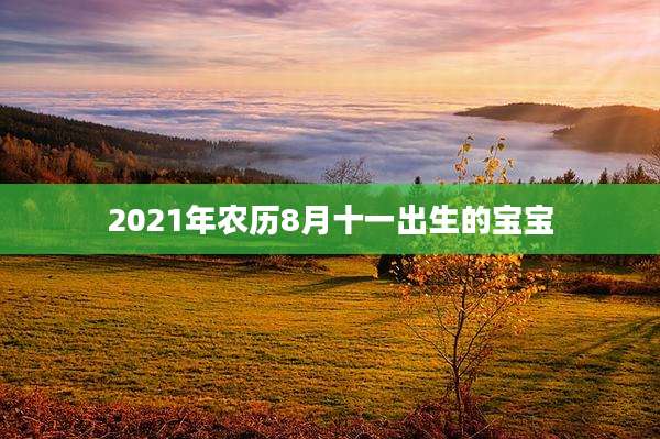 2021年农历8月十一出生的宝宝
