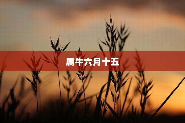 属牛六月十五