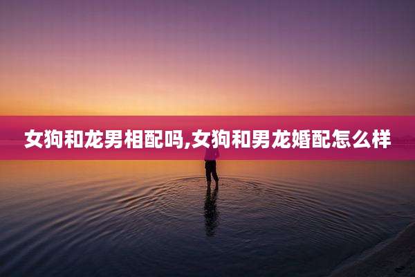 女狗和龙男相配吗,女狗和男龙婚配怎么样