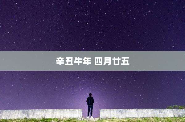 辛丑牛年 四月廿五