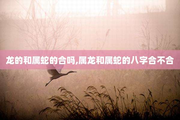 龙的和属蛇的合吗,属龙和属蛇的八字合不合