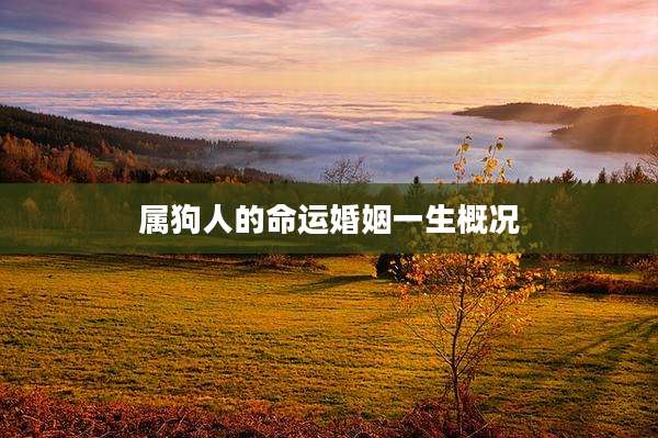 属狗人的命运婚姻一生概况