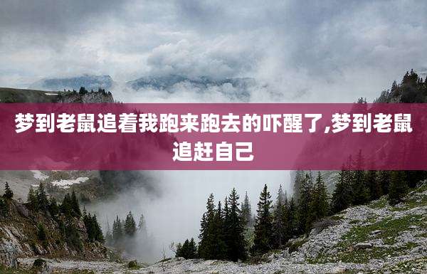 梦到老鼠追着我跑来跑去的吓醒了,梦到老鼠追赶自己