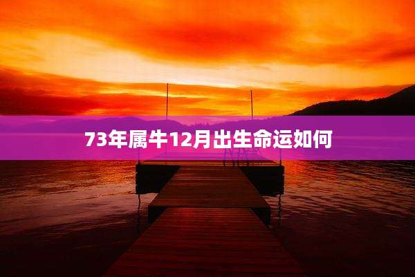 73年属牛12月出生命运如何