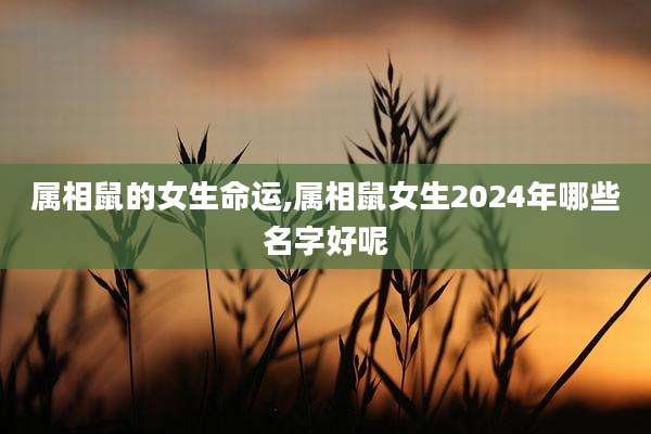 属相鼠的女生命运,属相鼠女生2024年哪些名字好呢