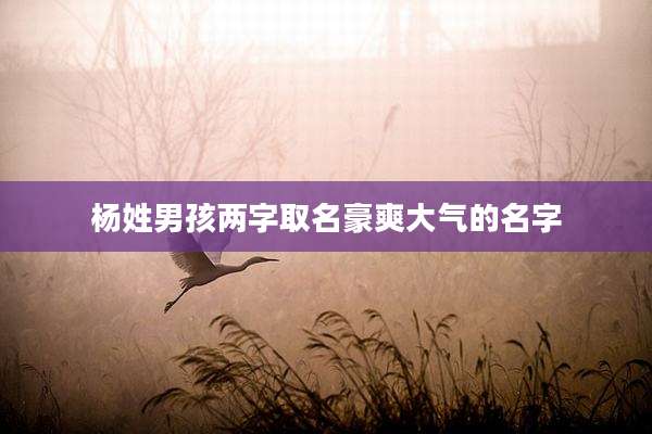 杨姓男孩两字取名豪爽大气的名字