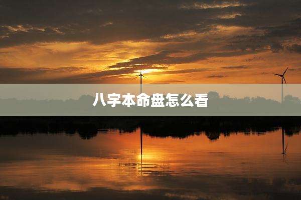 八字本命盘怎么看