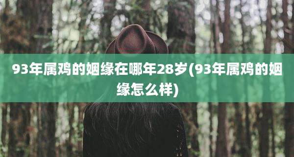 93年属鸡的姻缘在哪年28岁(93年属鸡的姻缘怎么样)