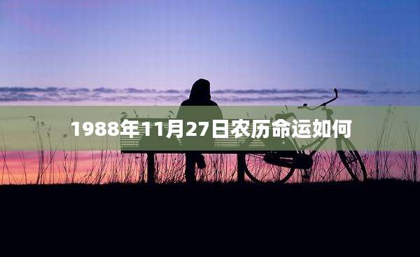 1988年11月27日农历命运如何