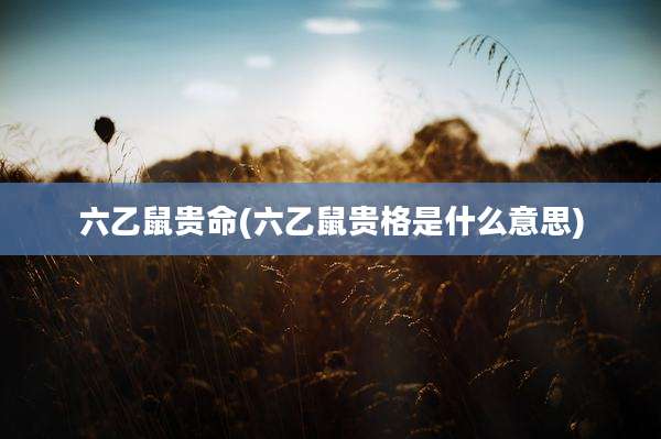 六乙鼠贵命(六乙鼠贵格是什么意思)