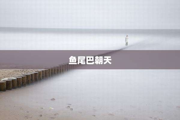 鱼尾巴朝天