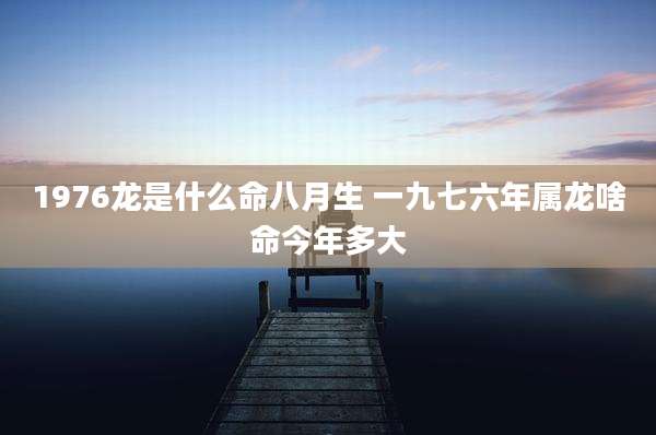 1976龙是什么命八月生 一九七六年属龙啥命今年多大
