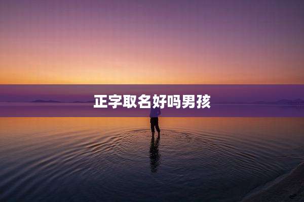 正字取名好吗男孩