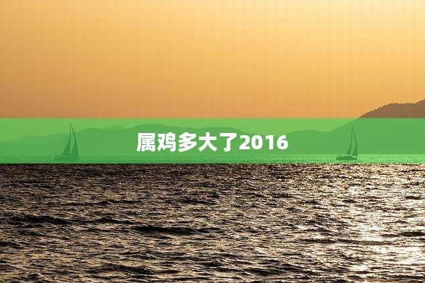属鸡多大了2016