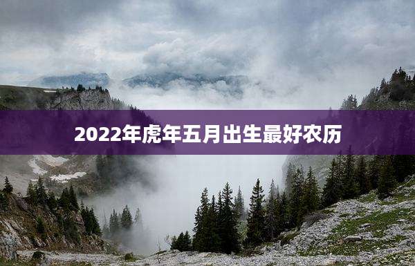 2022年虎年五月出生最好农历
