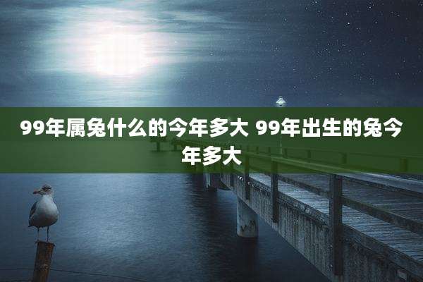 99年属兔什么的今年多大 99年出生的兔今年多大