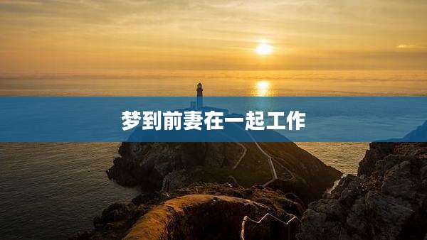 梦到前妻在一起工作