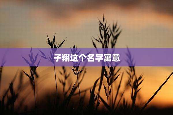 子翔这个名字寓意