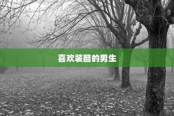 喜欢装酷的男生