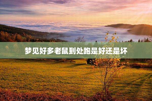 梦见好多老鼠到处跑是好还是坏